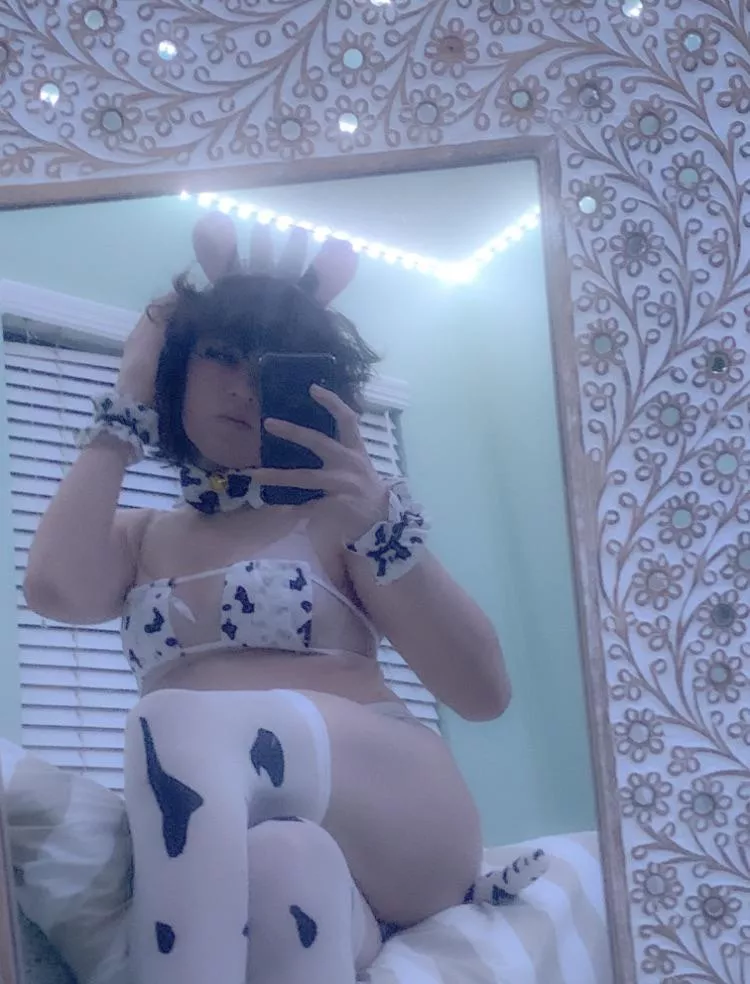 can i be ur cute cow maid 🥺💕