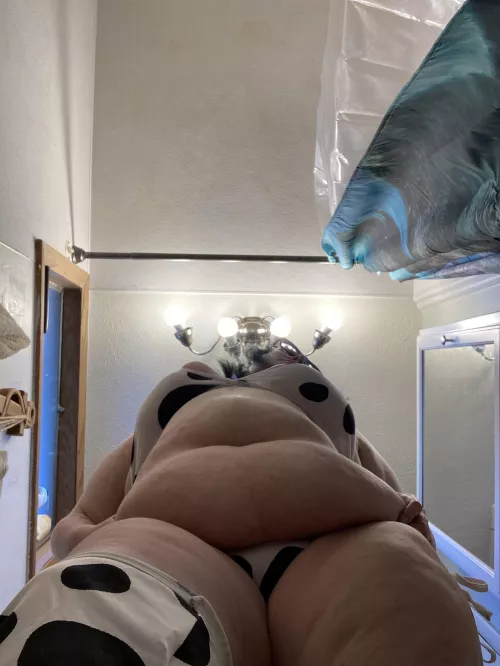 Come feed this cow 🐄