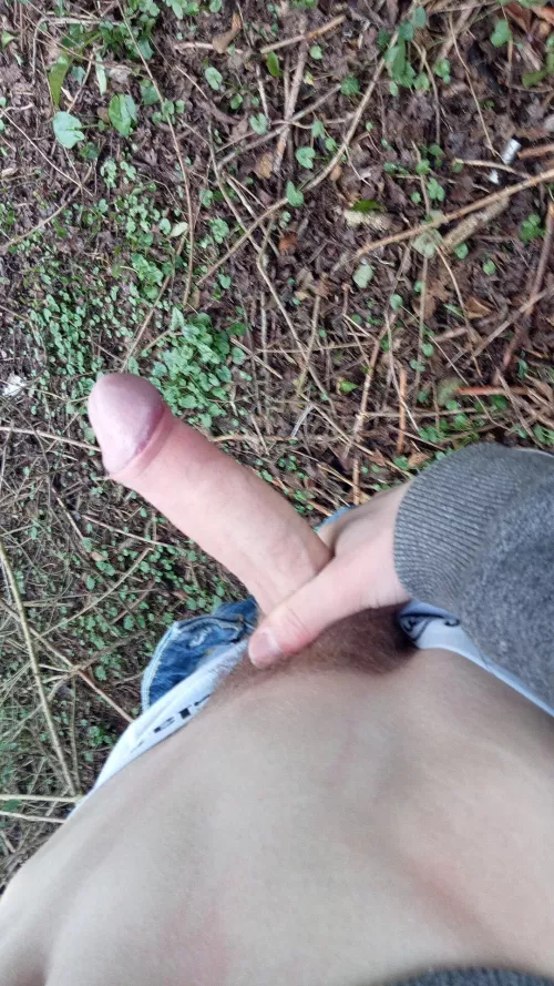 come suck me in the woods