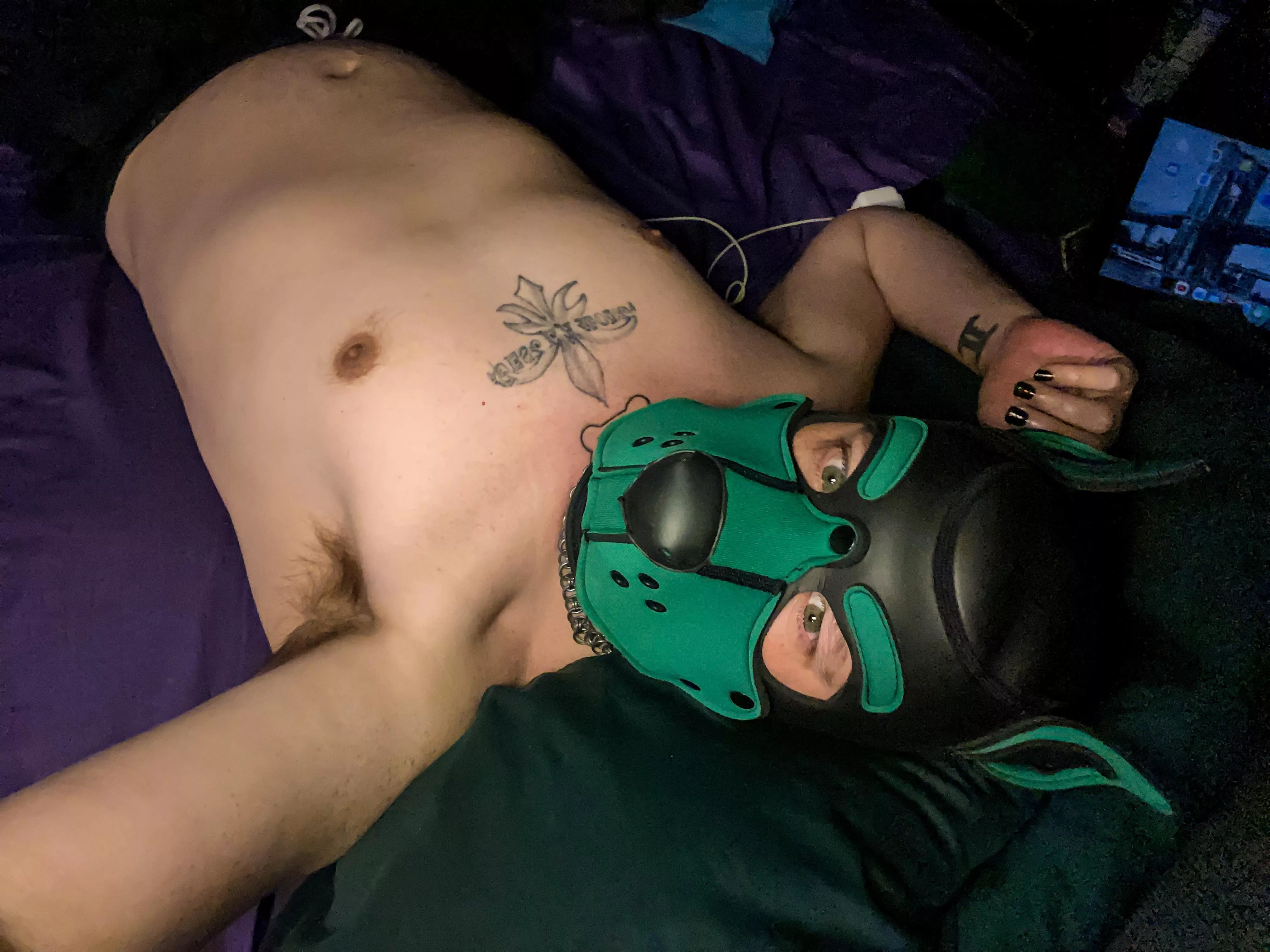 First time in hood since the breakup (2 months ago) definitely missed being in pup space-I need cuddles