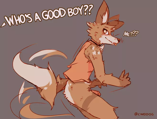 Good Boy?? (Vimes)
