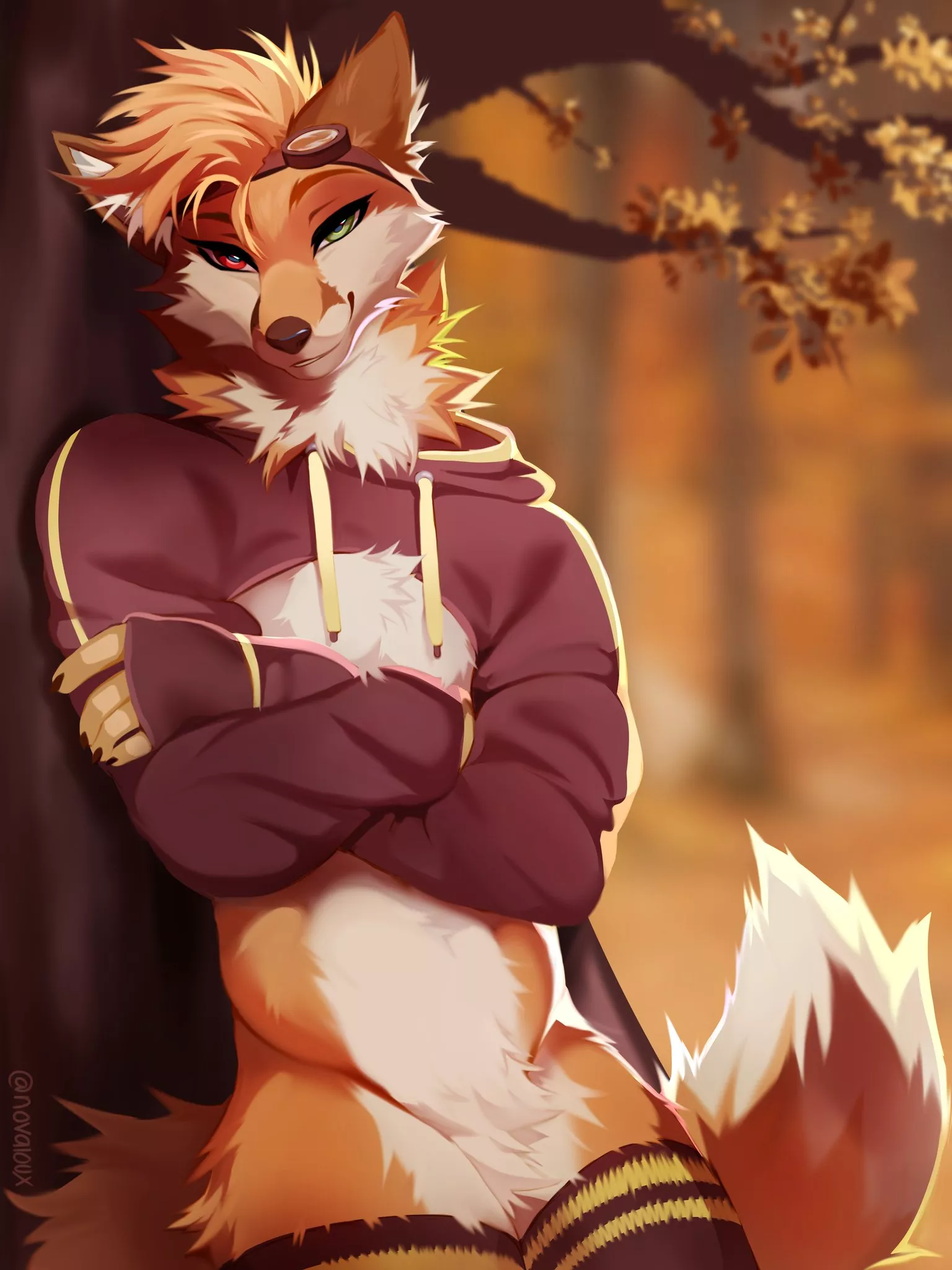 Hello There, Traveler [Novaloux]