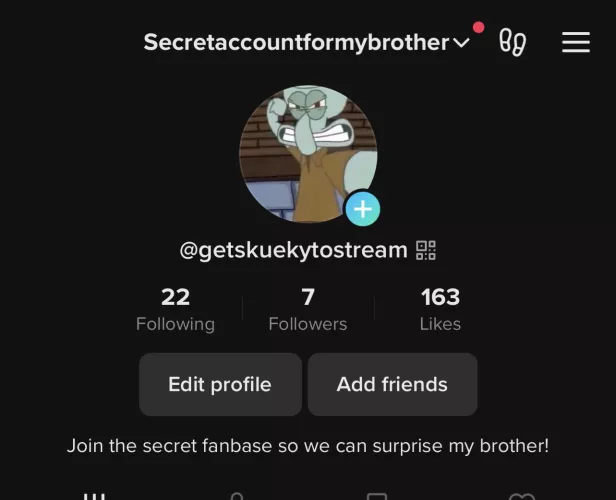 I made a secret account on TikTok to make a secret fanbase for my older brother. He is so funny and does commentary and screams and is so fun to watch. I grew up watching him play games! If he get a large fanbase, i’ll convince him to go live and surpr