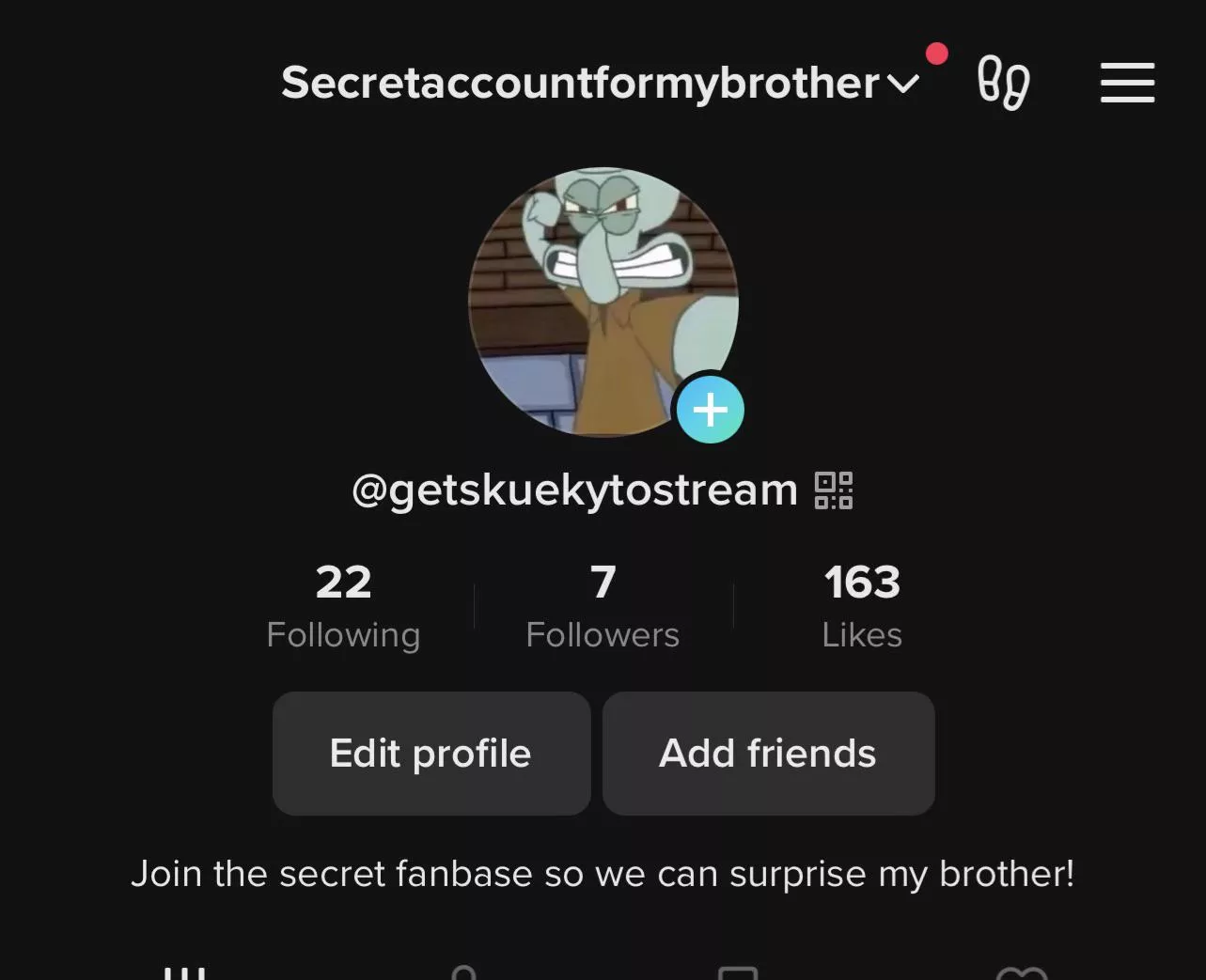 I made a secret account on TikTok to make a secret fanbase for my older brother. He is so funny and does commentary and screams and is so fun to watch. I grew up watching him play games! If he get a large fanbase, i’ll convince him to go live and surpr