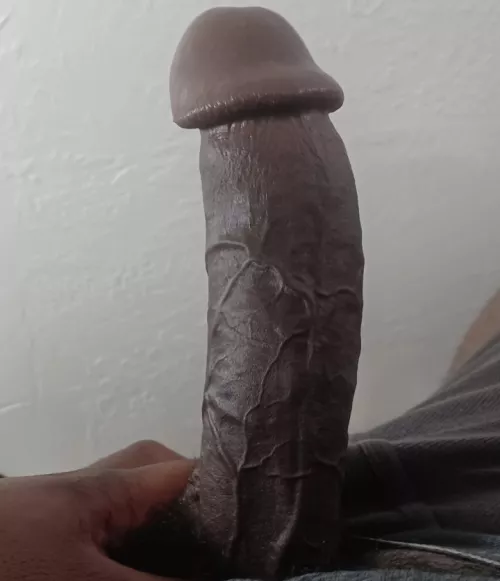 If you don't have anything to do this Friday, I have some ideas