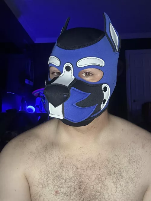 New Look, Same Luca 😉🐶