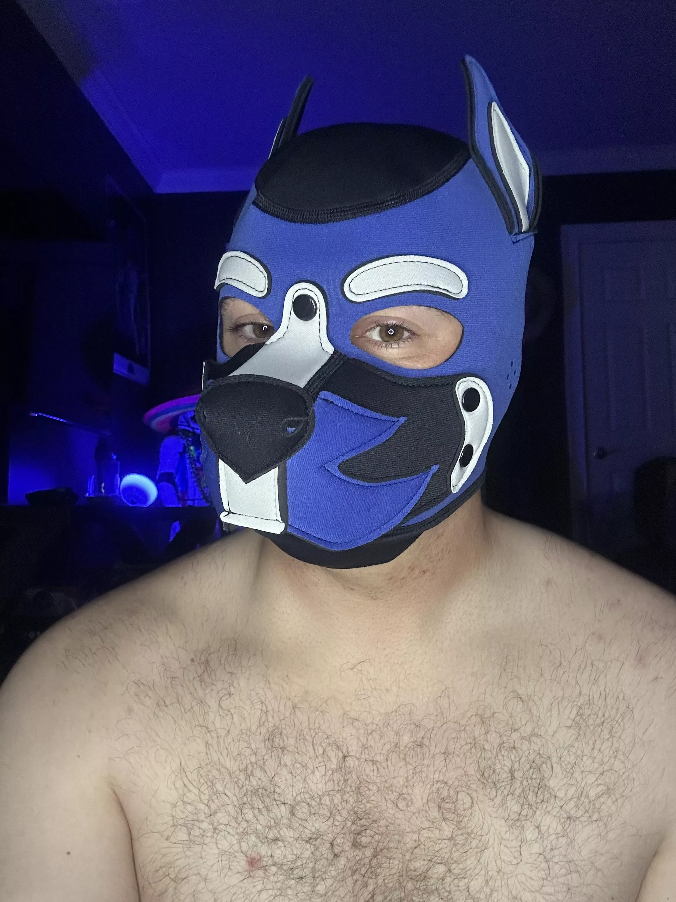 New Look, Same Luca 😉🐶