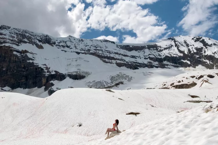 Northern bikini tans