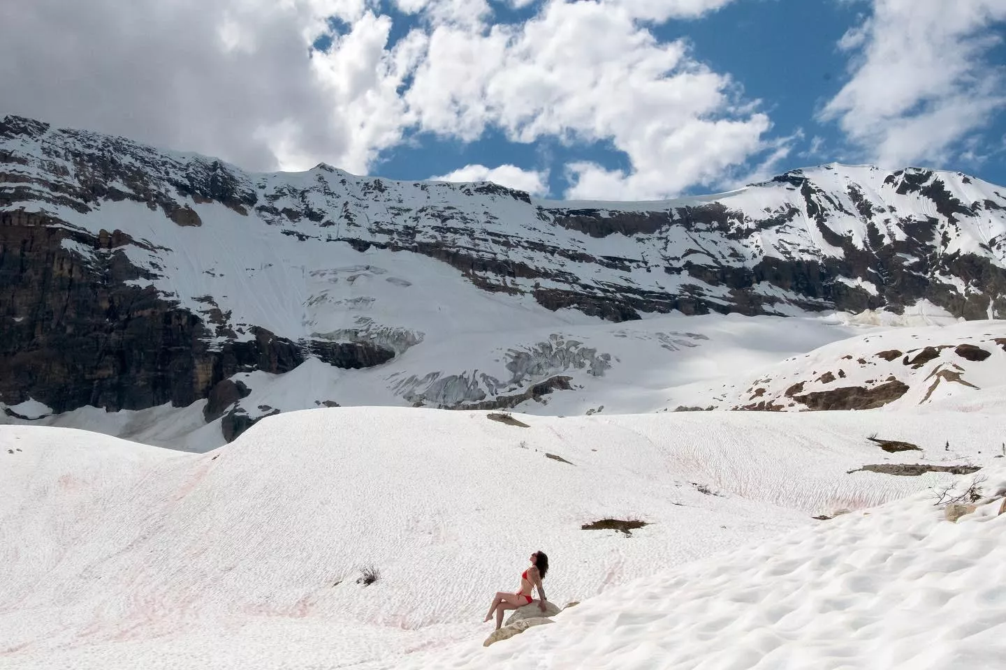 Northern bikini tans