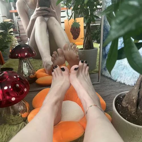 Soles or toes