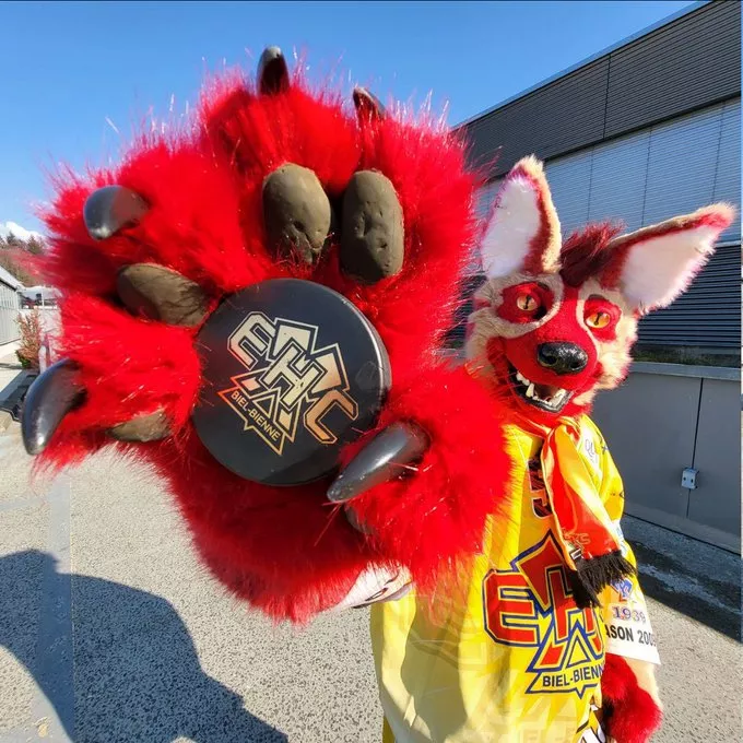 The Swiss national league play off finals start today and I am so proud of the team of my home city to have secured their place in the finals! Hopp Biel! Ici C'est Bienne!