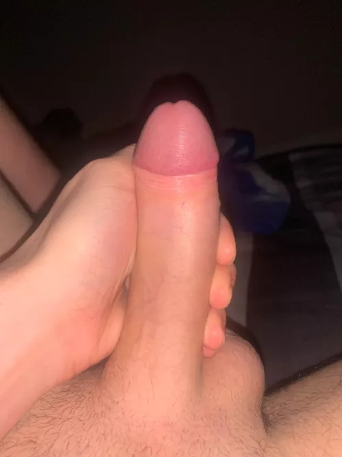 Thoughts on my cock?