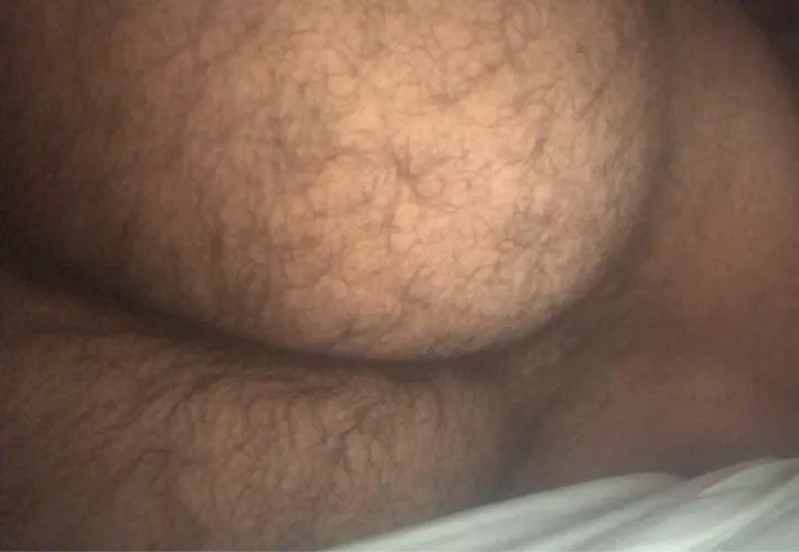 very hairy bear ass wanting to get pounded by a young top😈 who wants to help, Dm x