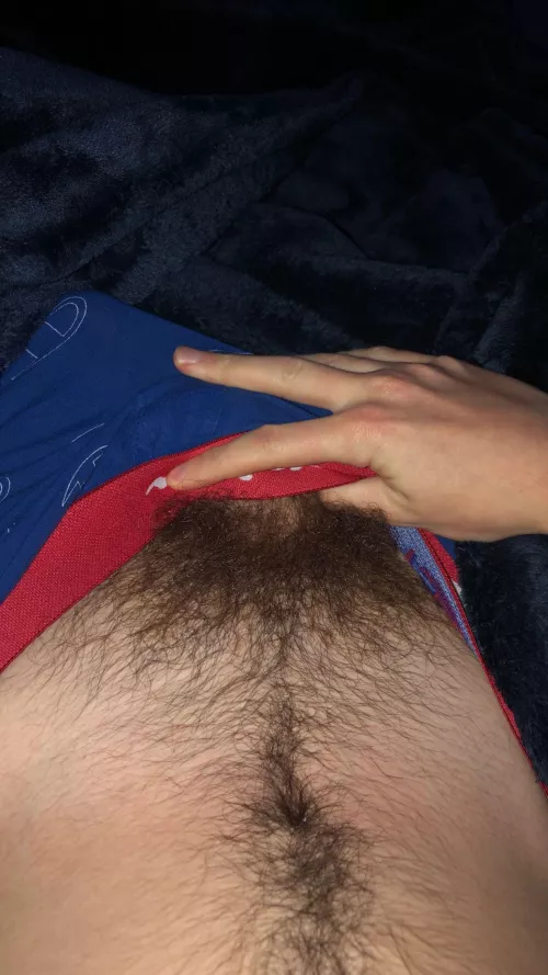 [20] a boy and his bush