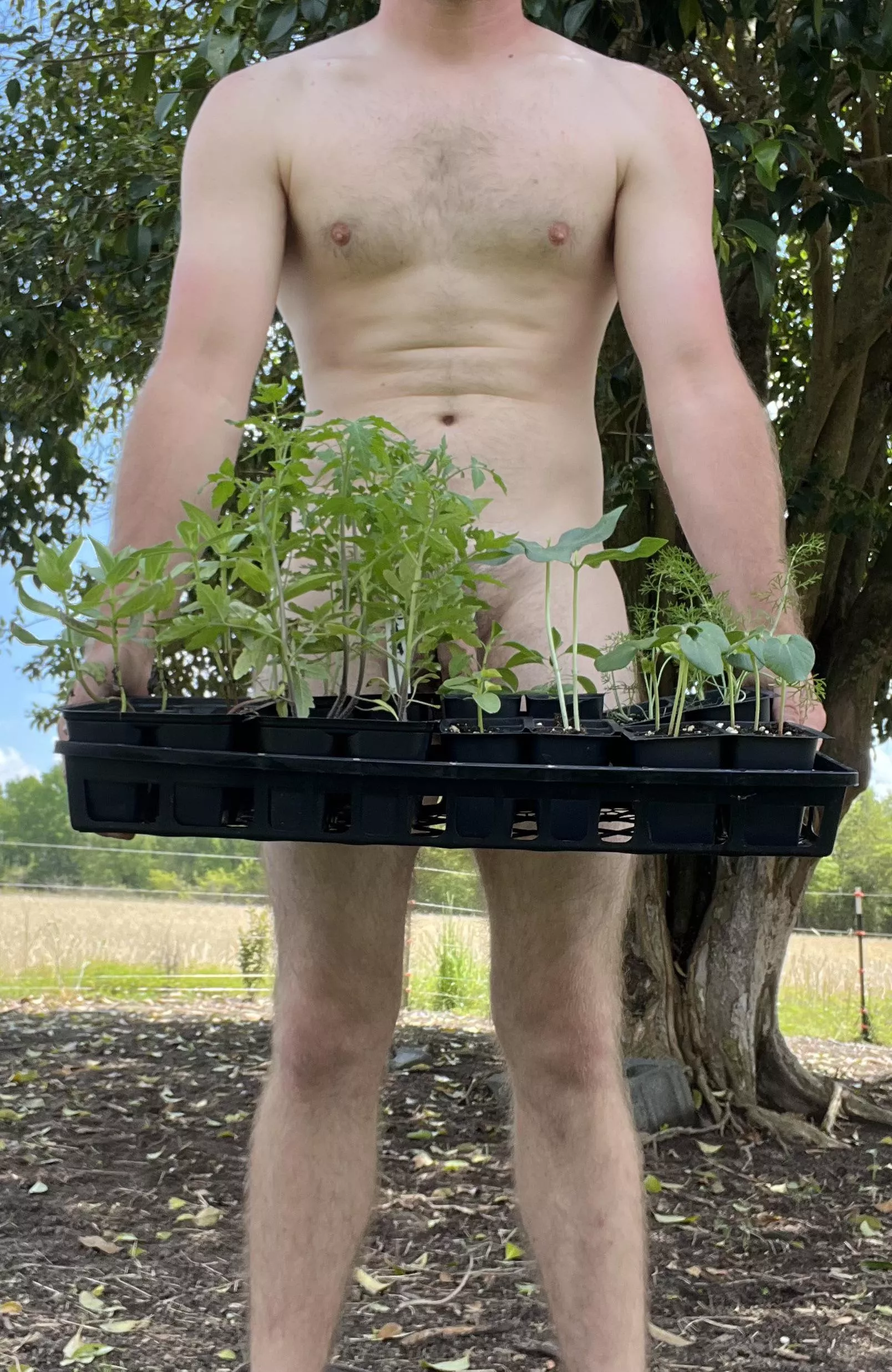 Anyone wanna help plant?
