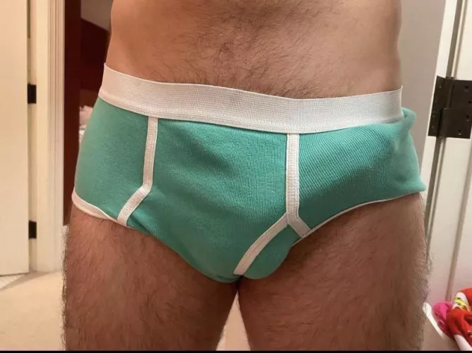 Briefs