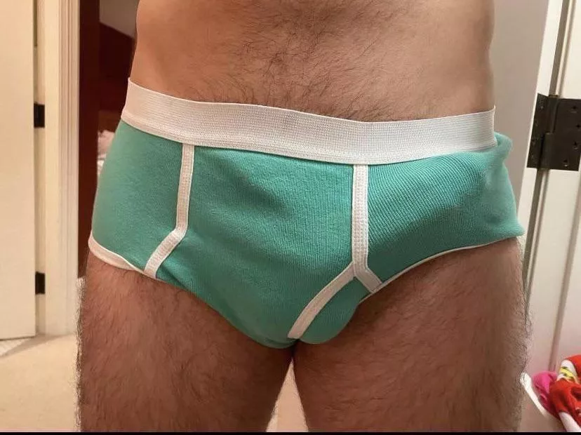 Briefs