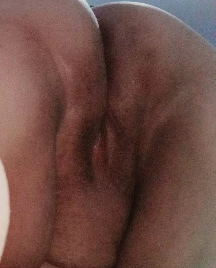 Can you please breed my coochie papi? [OC]