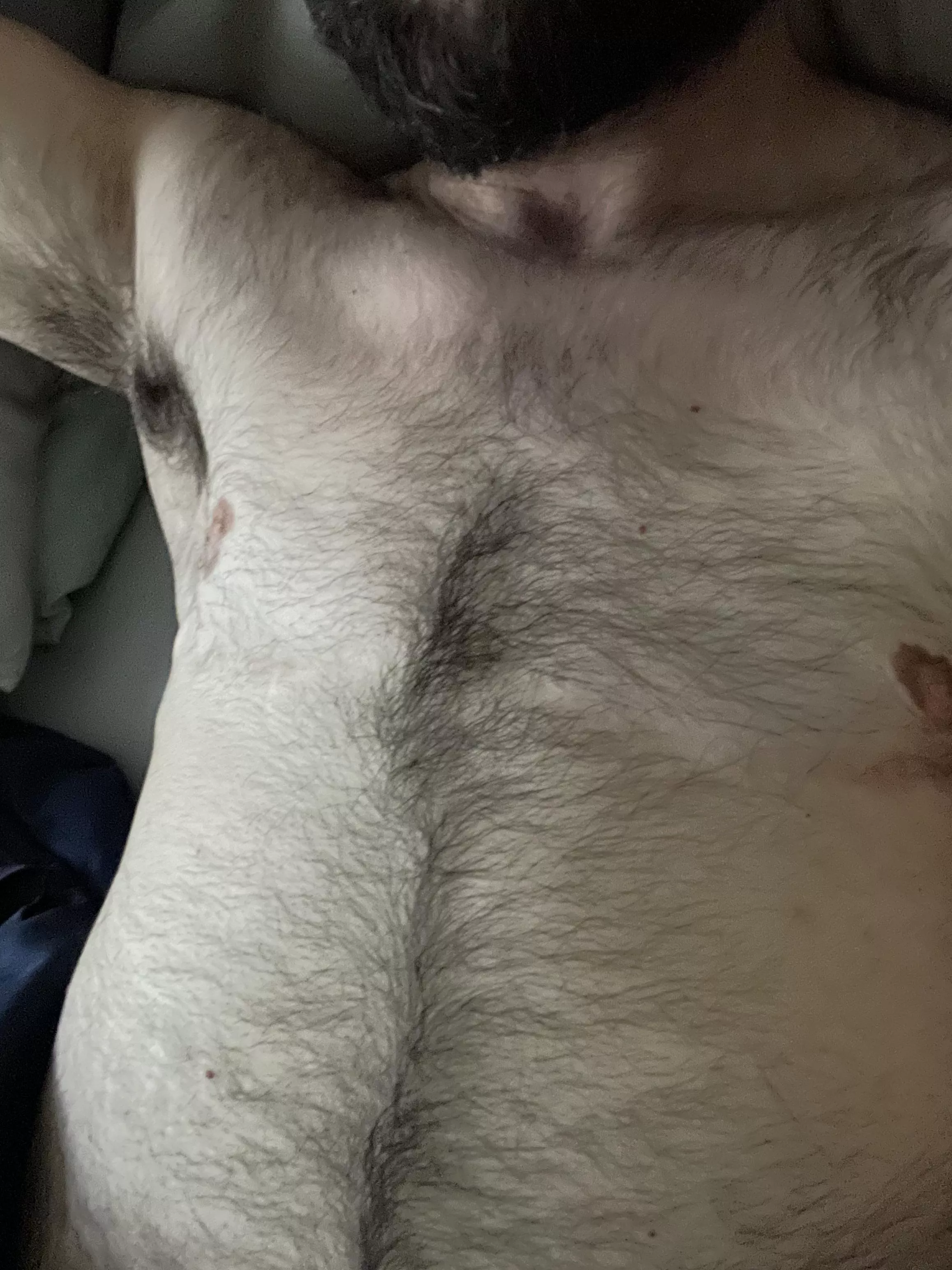 Come cuddle this fur