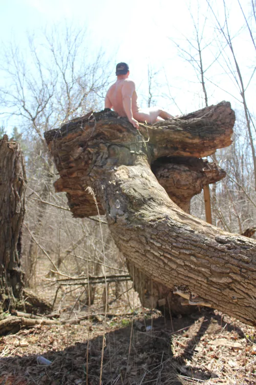 Fun pic I took on yesterdays hike, but i could use some help getting down now!!