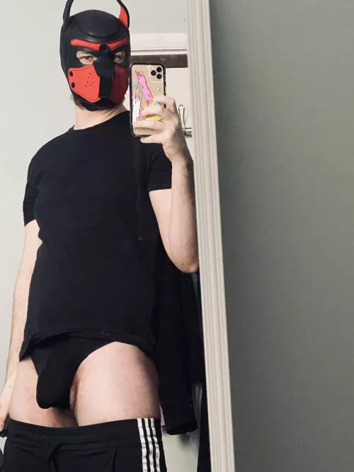 Happy Saturday, pups.