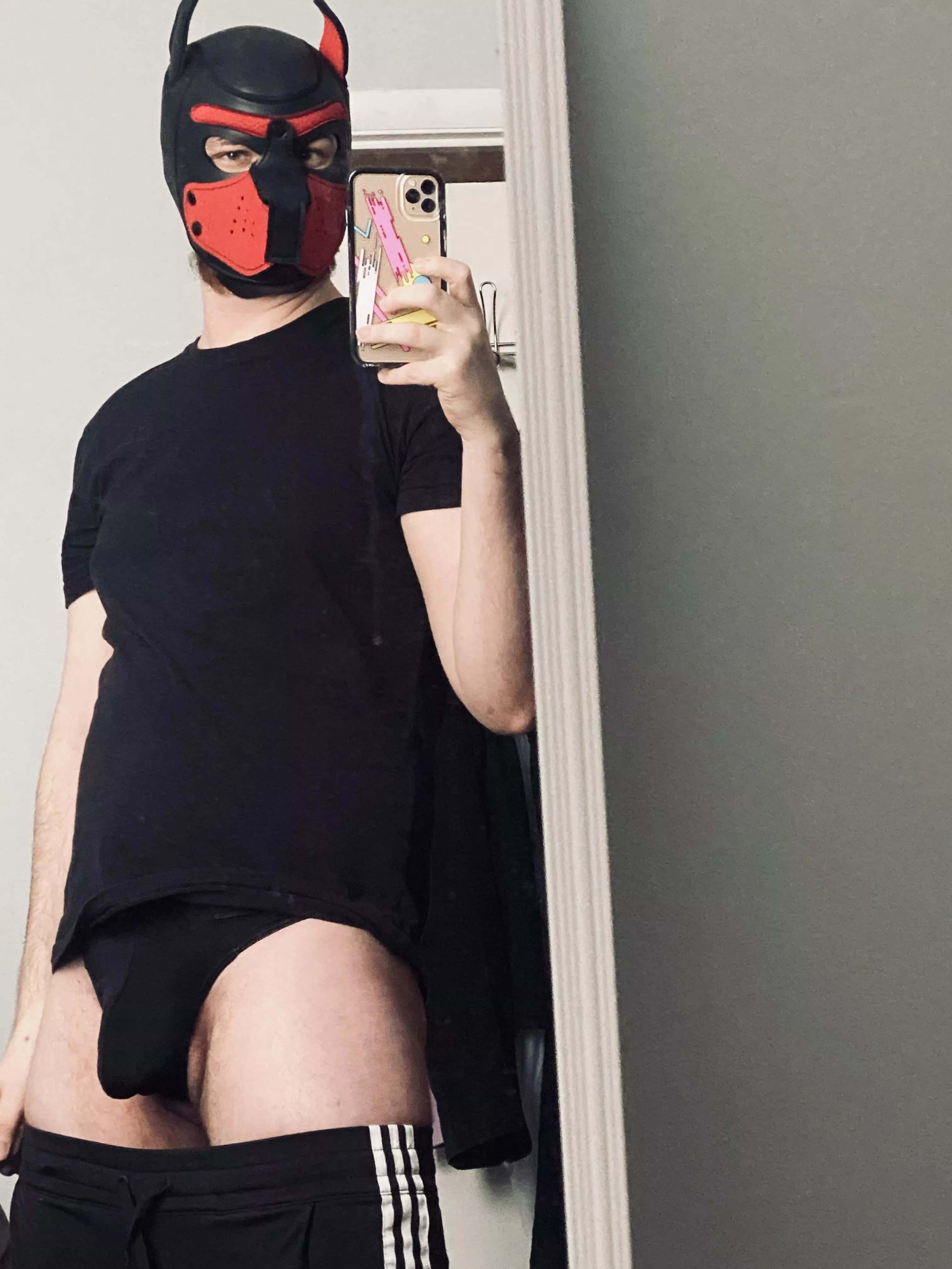 Happy Saturday, pups.