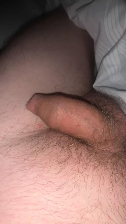Little sub cock