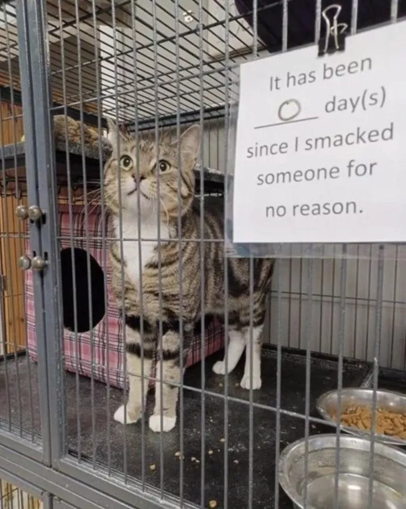 Reminds me of when I was put in a cage at a fetish club