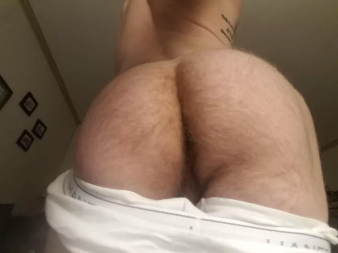 Spread my furry cheeks
