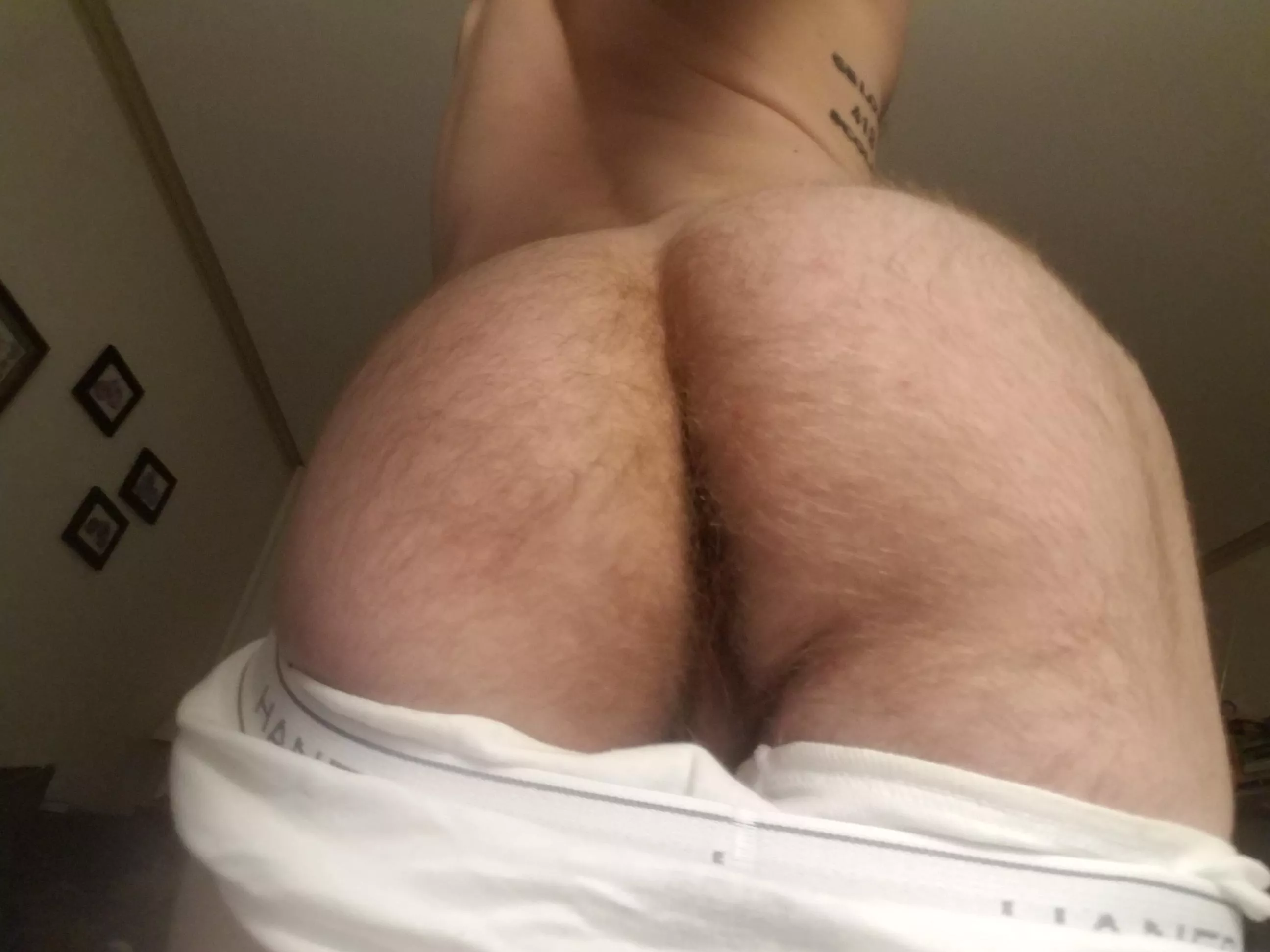 Spread my furry cheeks