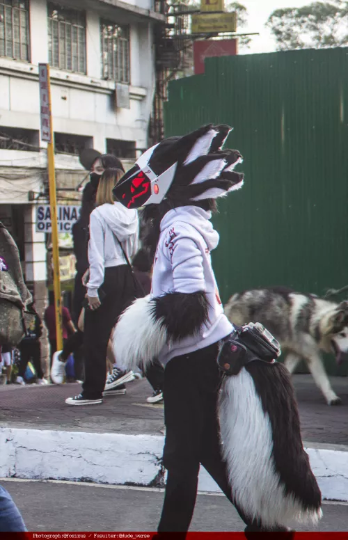 Sunny around town! ( photograph by @FoxixusArt - twitter / Suiter @dude_verse - Twitter)
