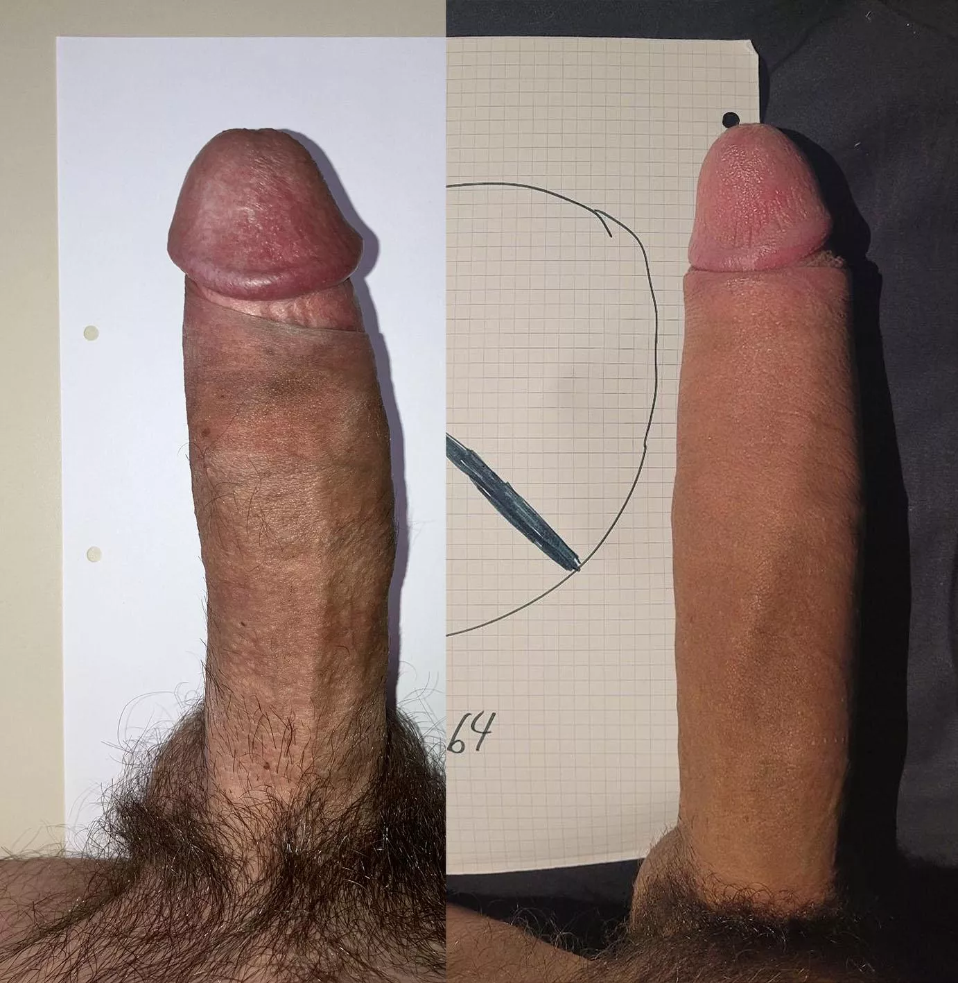 Which one is your favorit?