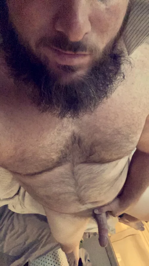 would you care for a ride?