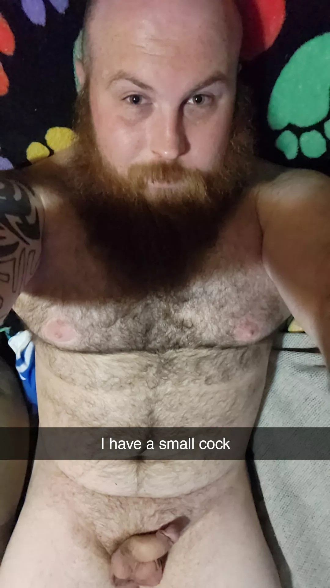 34m hairy bear
