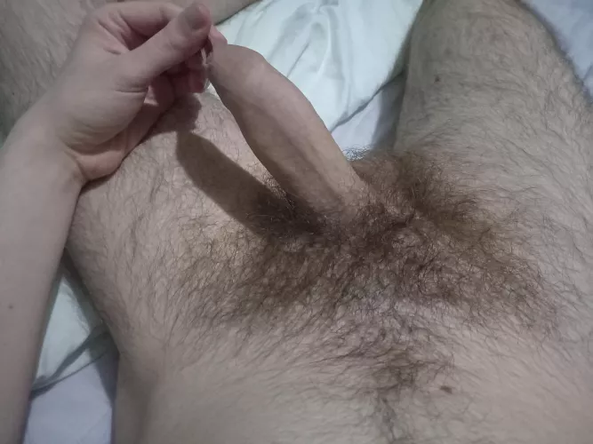 Haven't trimmed in a long time