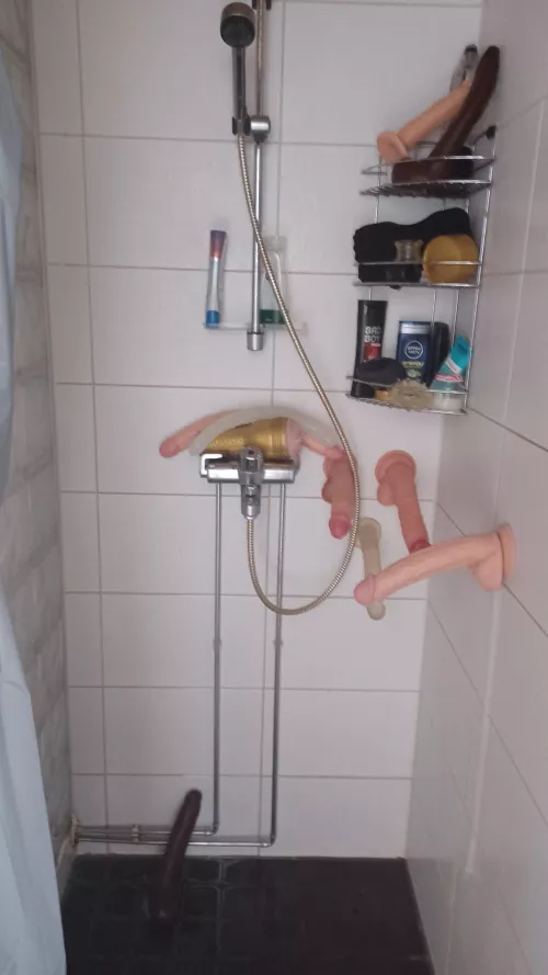 I took a shower with a few of my toys