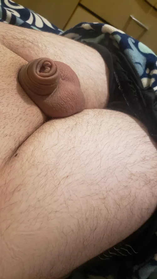 Imagine my clitty bouncing in doggy style