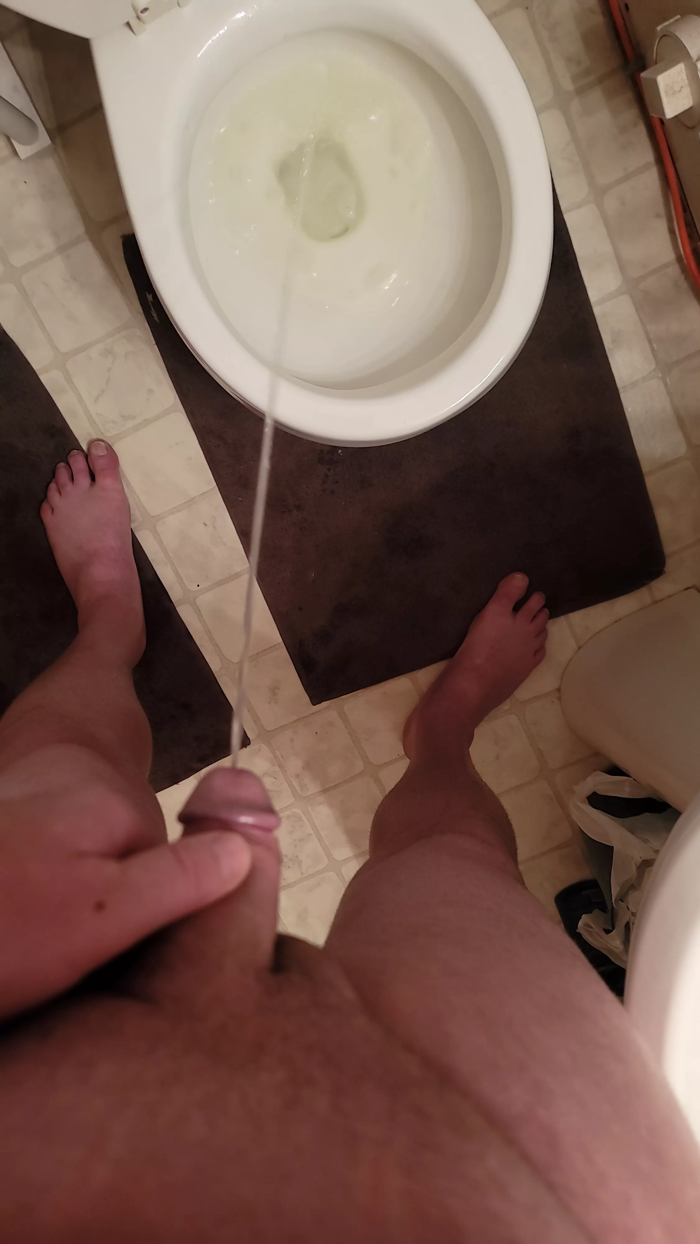 Late night piss