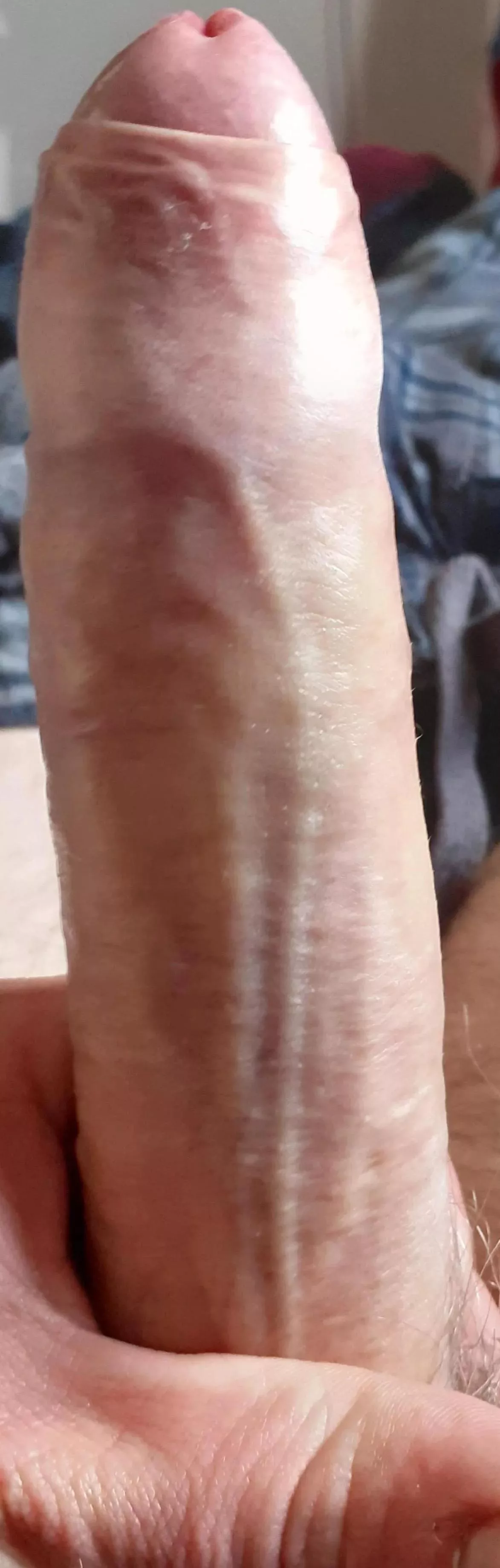 M43 Inverness Highlands