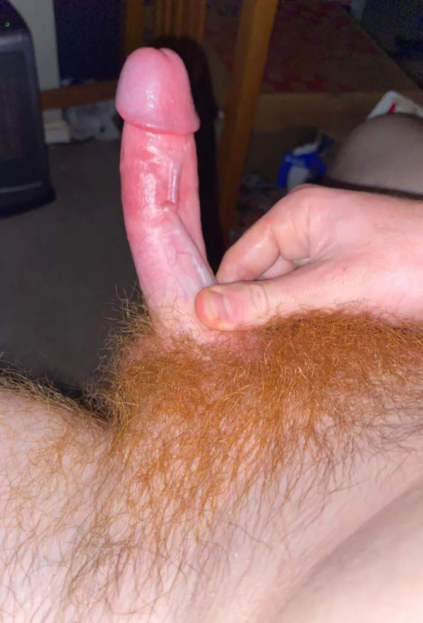 My red bush [DM open]