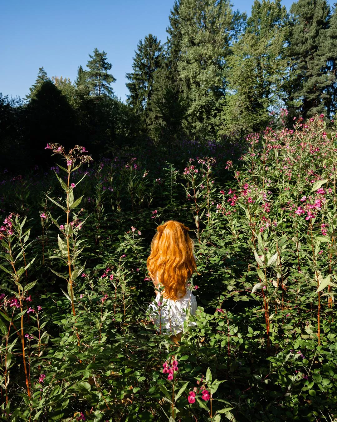 Spring is here and catgirls are out again