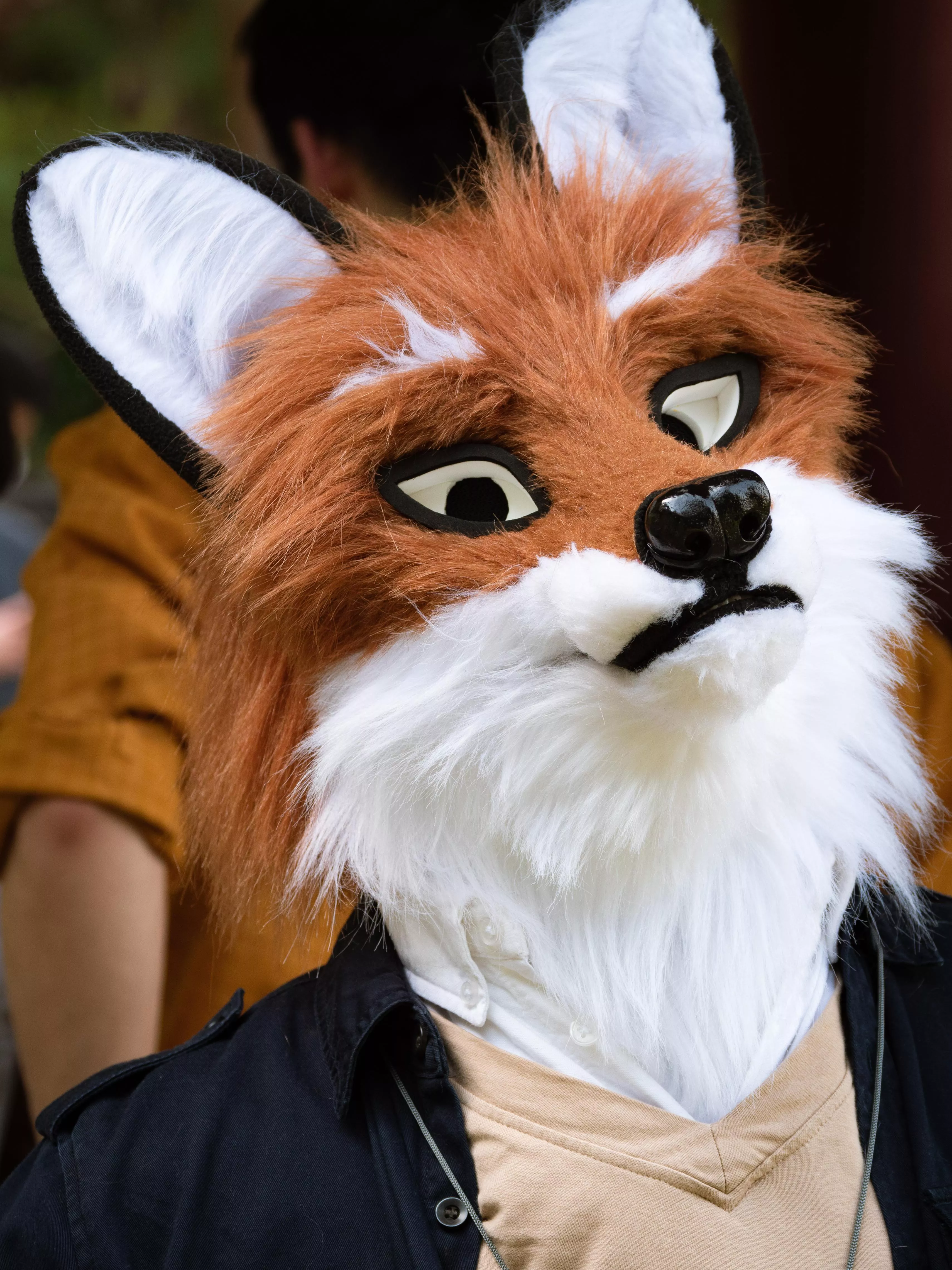 What, You've Never Seen a Fox Before?