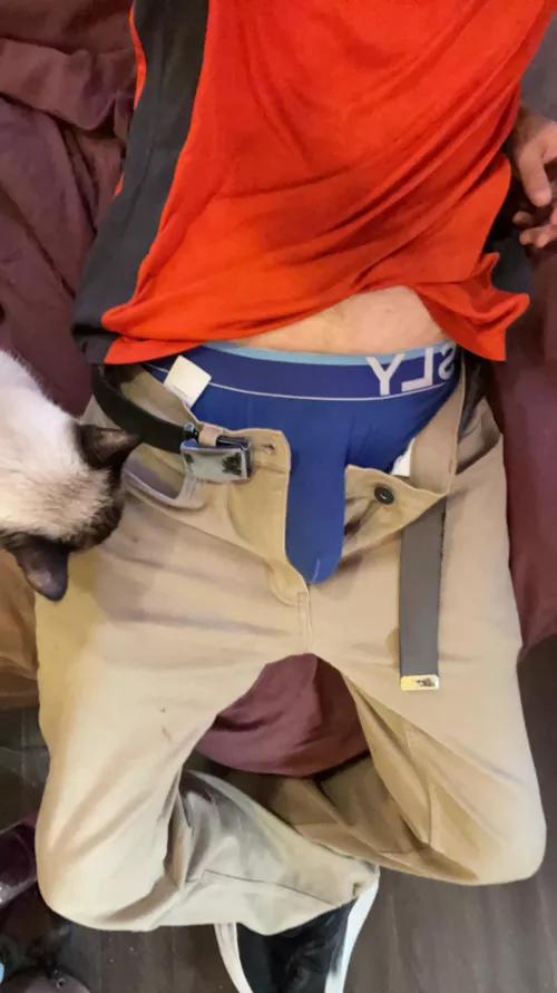 Who wants to finish taking them off ;)