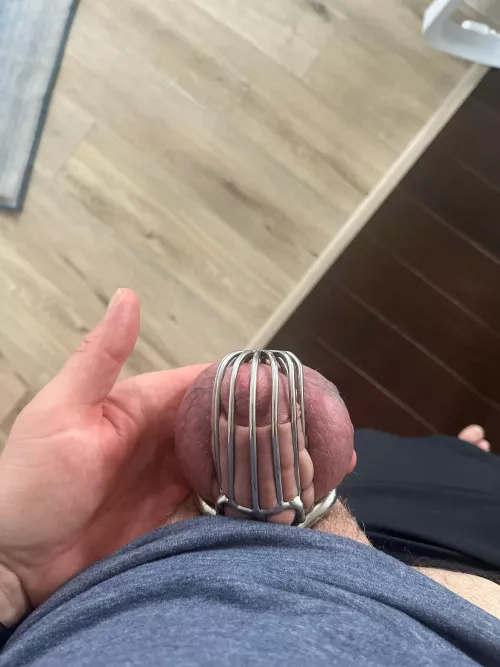 Wife has me caged while she is out of town