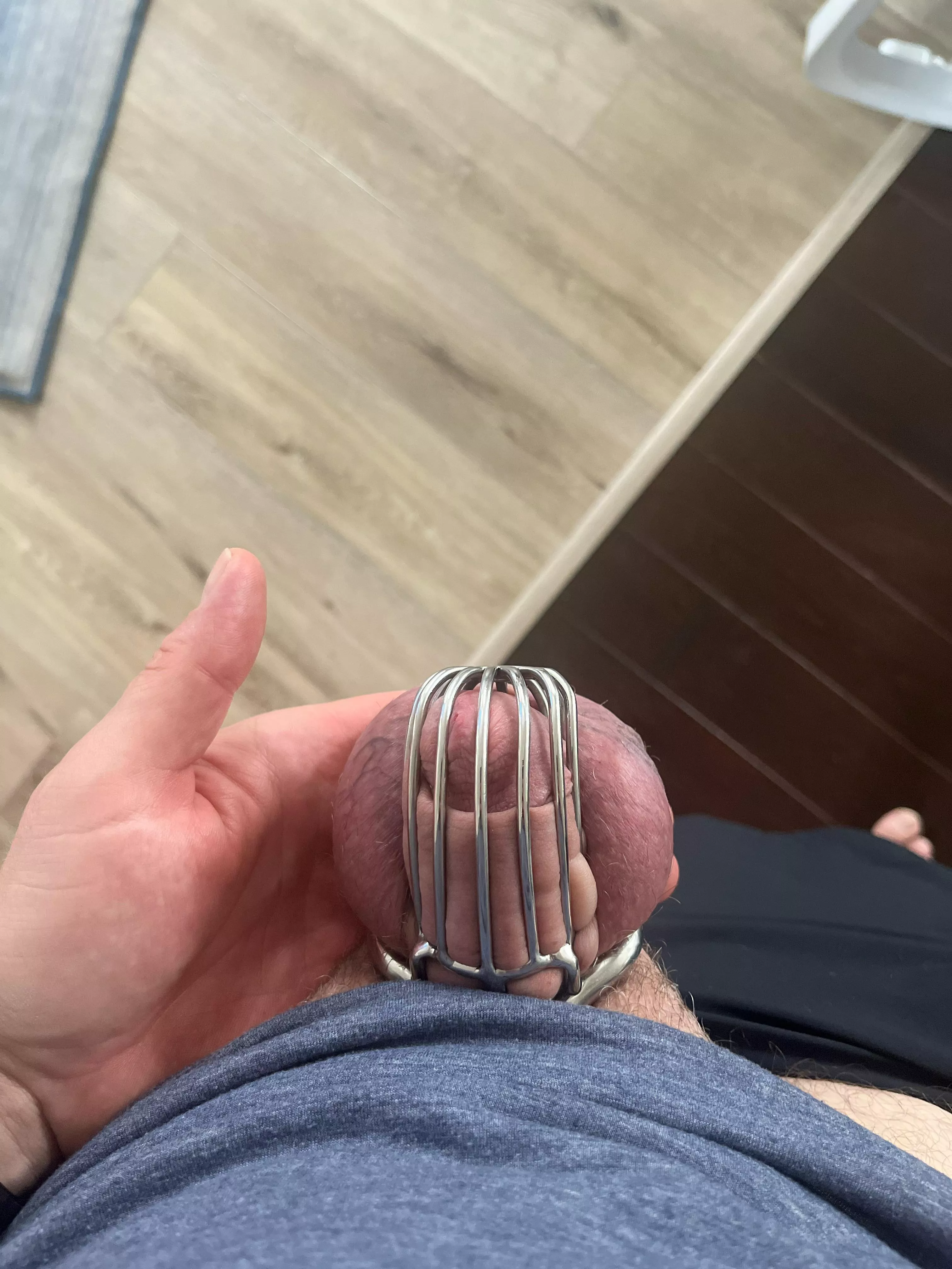 Wife has me caged while she is out of town