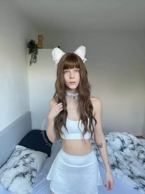 wishing you a purrfect & cozy sunday :3