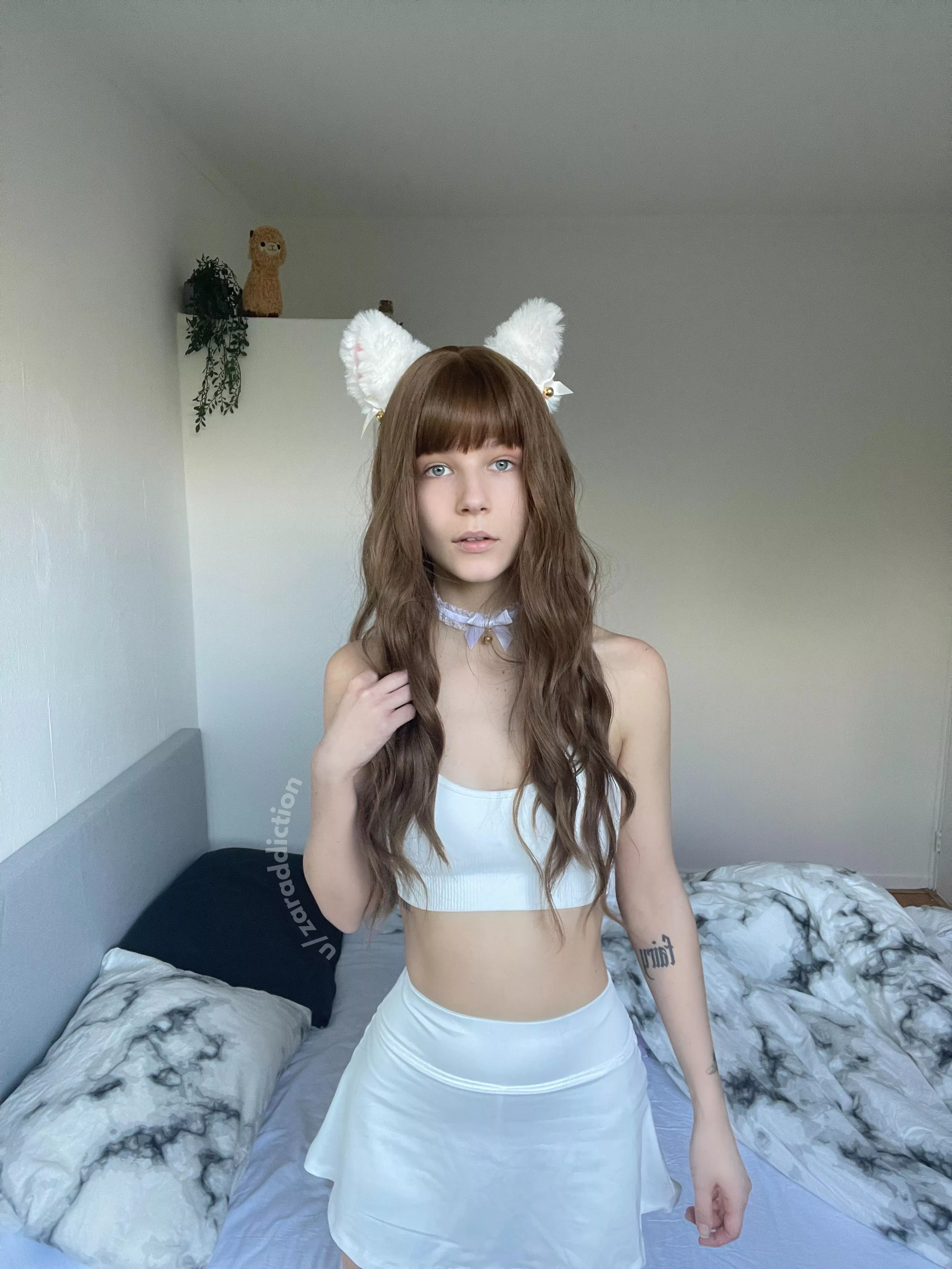 wishing you a purrfect & cozy sunday :3