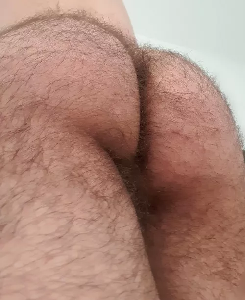 Would you fuck my otter ass? Dm me