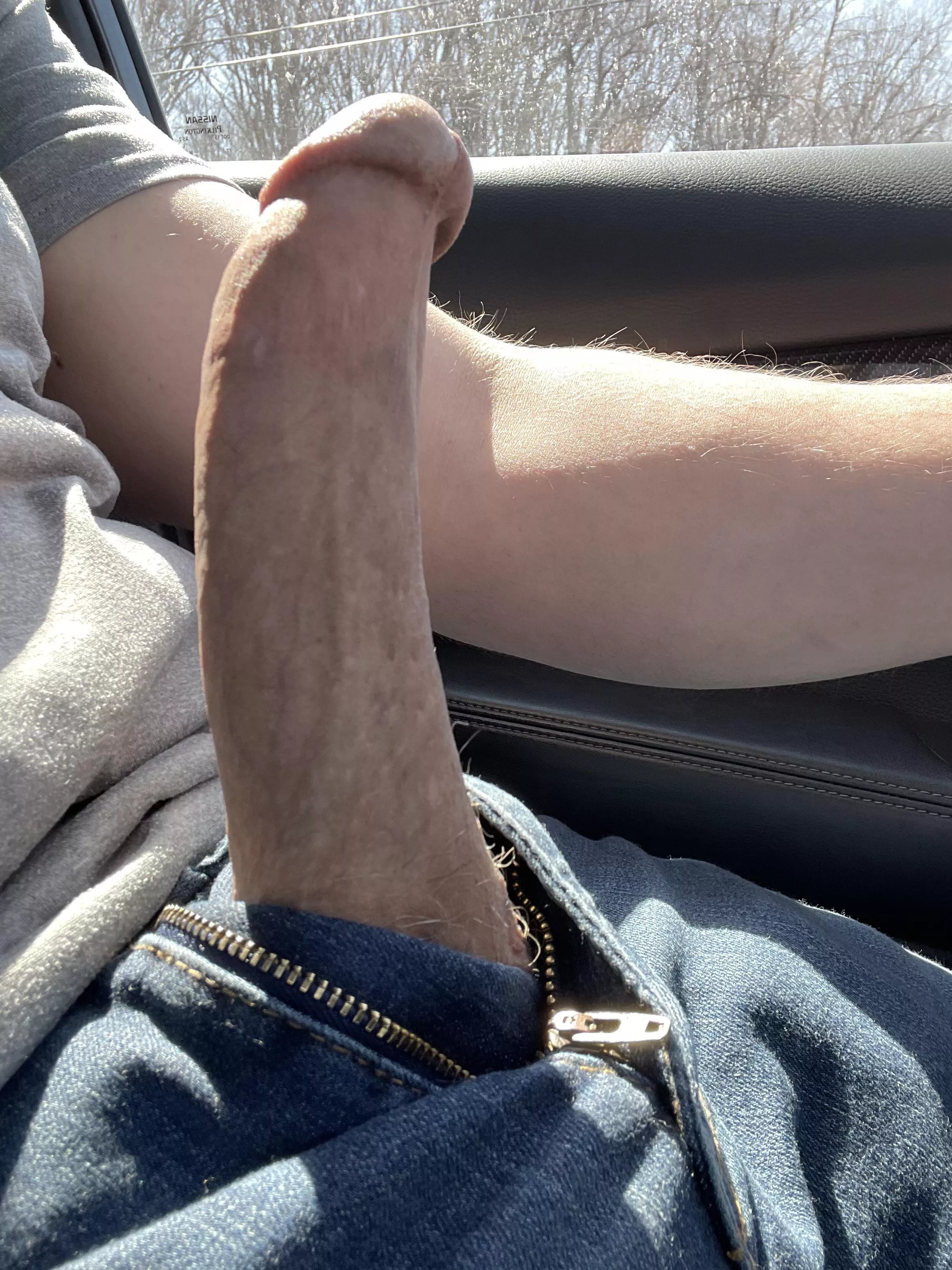 You pull up to a red light and see this, what do you do?