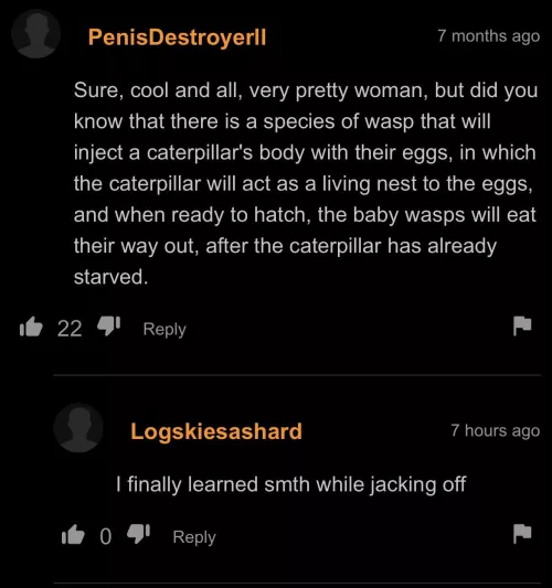 Bros the educator (Only Suggestive Language)